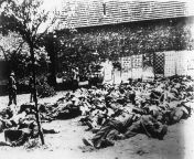The bodies of the men and boys over age 16 of Lidice, Czechoslovakia, murdered by the Nazis on June 10, 1942, in reprisal for the assassination of SS Leader Reinhard Heydrich. from deported women of ss