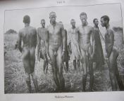 Old picture of a tribe taken in 1907 in German East Africa. It was for scientific ethnographical studies. The four naked men in a 3-side view: front, side and from behind, to show their appearance in an anthropological sense and behind the men are in th from naked men ethiopia