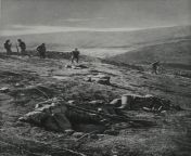 Austro-Hungarian and German soldiers examine a resently captured hill in the Carpathians, 1915. The Russian dead still scatter the ground. from austro