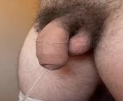 You like my big hairy pissing cock???Dms open? from big shot pissing vagina