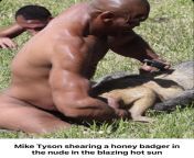 Mike Tyson shearing a honey badger in the nude in the blazing hot sun from jung in sun nude fake