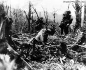 Troops of the US 25th Infantry Division troops pass a Japanese soldier impaled on a tree; Luzon, Philippines, 1945 from levittown division girls naked a