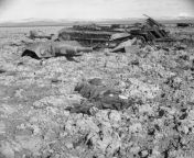 The mangled corpse of a German tanker and the remains of his destroyed Panzer IV tank in a field near Bou Arada, Tunisia. 19 January 1943. from hindu bou boob press