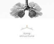 ?? Welcome to the essence of I N H A L E - the Lung Structure! ? Our logo&#39;s first component represents the essence of breaththe core of our commitment to a healthier and more mindful vaping journey. Our vaporizers are designed to provide a smooth a from xxx of bhojpuri monalisa h