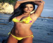 Sunny Leone Best from aishwarya dutta nudeny leone best 3gp xxx