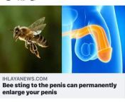 Ako mislite uštedjeti, i ne kupovati one pumpice za povećanje Vašeg penisa, možete koristiti pčelinj ubod, za veće rezultate može i bumbar, a za najveće stršljen. from jak ssać penisa