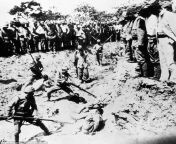 Japanese soldiers bayoneting prisoners during the Nanking massacre, 1937 from nanking massacre