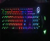 New keyboard and mouse for future use of gaming and video editing on pc from xannat gaming sex video