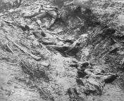 [History] German dead in a trench following artillery barrage WW 1 Location and date unknown from ww kannada mom and
