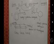 2nd wale ka naam propane-1,2,3-tri(ethyl carboxylate) hona chahiye na? from kele wale ka lund sex stories