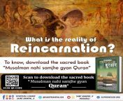 #Message_Of_Quran What is the reality of reincarnation? Scan the QR Code to download the PDF of the Holy Book &#34;#???????_????_????_?????_?????&#34; Amazing book ?? ?????? ?????? from ustazah quran