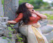 Honey Rose Sexy Pic from actress honey rose nude