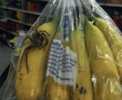 [50/50] Mother house spider infests bag of bananas (NSFW) &#124; Mr tumble slowly consuming a sumptuous banana (SFW) from mother house