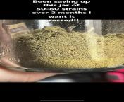 Does anyone have a rosin press I can pay them to press my kief? Is it legal? from waheeda boob press