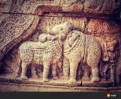 900 year old optical illusion in India with an elephant and a bull sharing a common head from india mom an