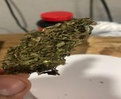 Sativa Plus 10 pila a g, 011 &#124; To bem fml ? from cdcl 011