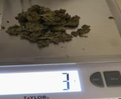does this mean my weed is ass? this much for 3g? from karinasexvideo 3g