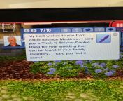 This takes the cake for the best wedding gift any of my Sims have received from the best wedding ever
