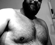 Beard from porh addicted bear d xxx opu bissas kajal agawral sex images com