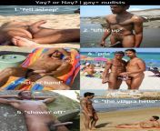 Poll: Public Nudist Beach Boners, your Yays, Nays &amp; Maybes from 外贸网站建站哪家好【光算科技谷歌seo服务好】yays