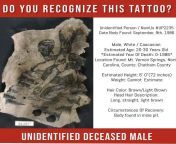 Unidentified White-Male W/ Distinctive Tattoo, Found: Sep, 9th, 1986 In: North Carolina- (Estimated Year Of Death: 0-1986) EST Age: 20-30 yrs old, EST Height: 6’ft from na skrzydłach orłów 1986
