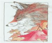 red oak red fox with color from sofia red fox