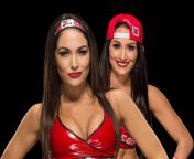 Anyone i need to rp or talk about bella twins from wwe bella twins nude