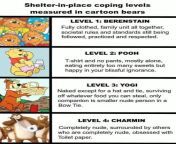 Shelter-in-place coping levels measured in cartoon bears from savita bhabah in cartoon
