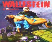 Wallestein from aiz wallestein