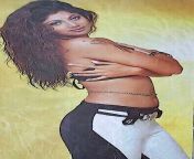 Shilpa Shetty from shilpa shetty nude sexy bhos