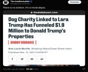 The Daily Beast: Dog Charity Linked to Lara Trump Funneled &#36;1.9M to Trump&#39;s Properties from mczc 9m lji