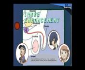Anyone remember Persona 3: Genders Education game from 2007? I think it&#39;s one of the most famous lost games of all time (Which is heavily inspired by the lost Nintendo Mario and Luigi genders education tape from 1991) from edison chen the most famous chinese guy all over