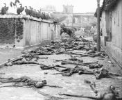 Vultures and corpses in the street of Calcutta, India after the “Direct Action Day Riots”, August 1946 from 棋牌游戏开源→→1946 cc←←棋牌游戏开源 ykv