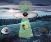new leaked government photos show real proof of aliens , warning the image inside may be graphic to some viewers .... from new leaked nepali kanda part