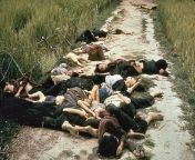 People&#39;s corpses after the My Lai massacre, My Lai village, Vietnam, 1968 [718x486] from hami dui sathi milerera eutai bhalu lai palai palo chickdai nepalisunny