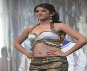 Deeksha Seth in White Blouse from tamil actress deeksha seth hot sex xxx nipnna
