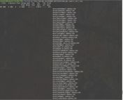 Power of Linux command line: I was needing list of newspaper&#39;s email addresses curl https://www.apns.com.pk/member_publication/index.php &#124; grep @ &#124; sort &#124; uniq from kanyapat ashly rattanachi sexuffx com pk
