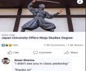 ninja from ninja film