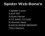 All Songs on Spidzr Wzb Bones from slim all songs