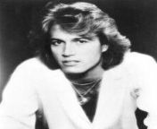 ANDY GIBB (March 5,1958 ~ March 10,1988) ANDY GIBB: Was A Major Part of Many Lives During The Mid To Late 1970s. HIS: Music Had Reflected Our Many Dreams And Many Of Our Challenges. from andy mulai