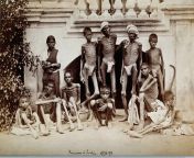The Great Famine of 1876-1878. Photograph taken by Willoughby Wallace Hooper in Bangalore, 1876. [15.1 x 20.6 cm] from next Ã‚Â» x 1876