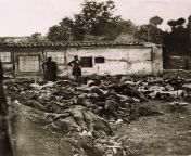 Soldati ammassati nel cimitero dove combatterono durante la Battaglia di Melegnano, (1859) nota per essere stata una delle pi brevi e sanguinose della seconda guerra di indipendenza italiana. Si crede si tratti della prima fotografia ai caduti immediatam from l39ospizio della vergogna