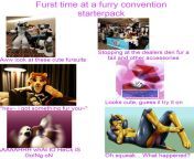 Furst time at a furry convention starterpack from www furst time fucking x