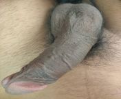 Semi-Hard Black Cock?? ready for anything anytime anywhere ???? from michele morrone fakes cock