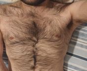 25 Hairy Vers here &#124; we want to create a group for HAIRY GUYS (hunks, otters, cubs...) FACE is MUST &#124; add turkishotter if you&#39;re interested. from hairy nude hunks