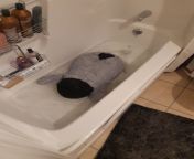 [Crosspost] PeNGuIn fOuND DEaD iN HiS AppARTmENT, dRoWNEd in tHe TuB Wer von euch hat den Pinguin gekillt? from www pinguin
