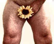 Choose your own title today: Nothing says su[m]mer quite like a fake sunflower coming out of your crotch? Or &#34;Put a flower in your hair&#34; they said? Or ?It&#39;s gonna be a bright bright bright sunshiny day? from choose your day