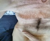 Been a while since I posted, here&#39;s my hairy naked self ? from aisha hairy naked