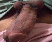 Desi hung from Delhi from desi bigali from old delhi ki chudai 3gp videos page 1 xvideos com xvideos indian videos page 1 f