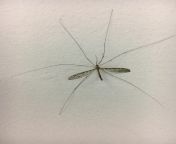 found this in my photo stream?? winter 2019, SE QLD, australia (tagged as nsfw just in case) from rape in 11 12 13 15 16 se